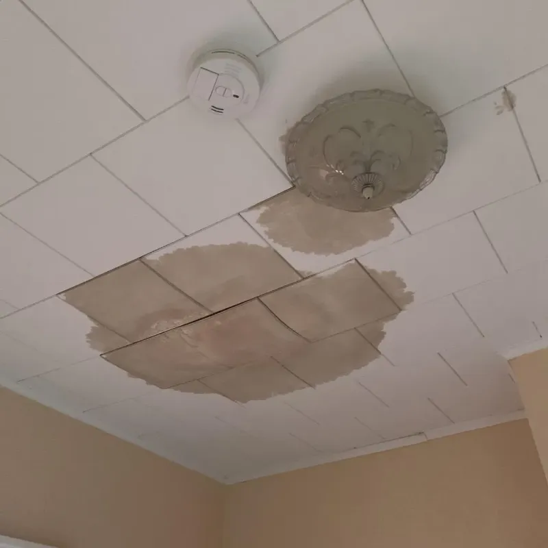 Ceiling Water Damage Repair in Plymouth, MN